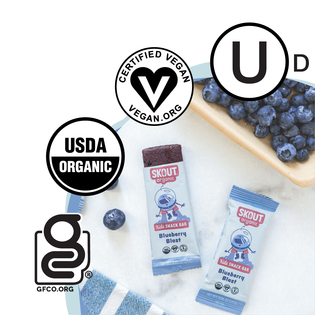 Skout Organic - Blueberry Blast Kids Bar