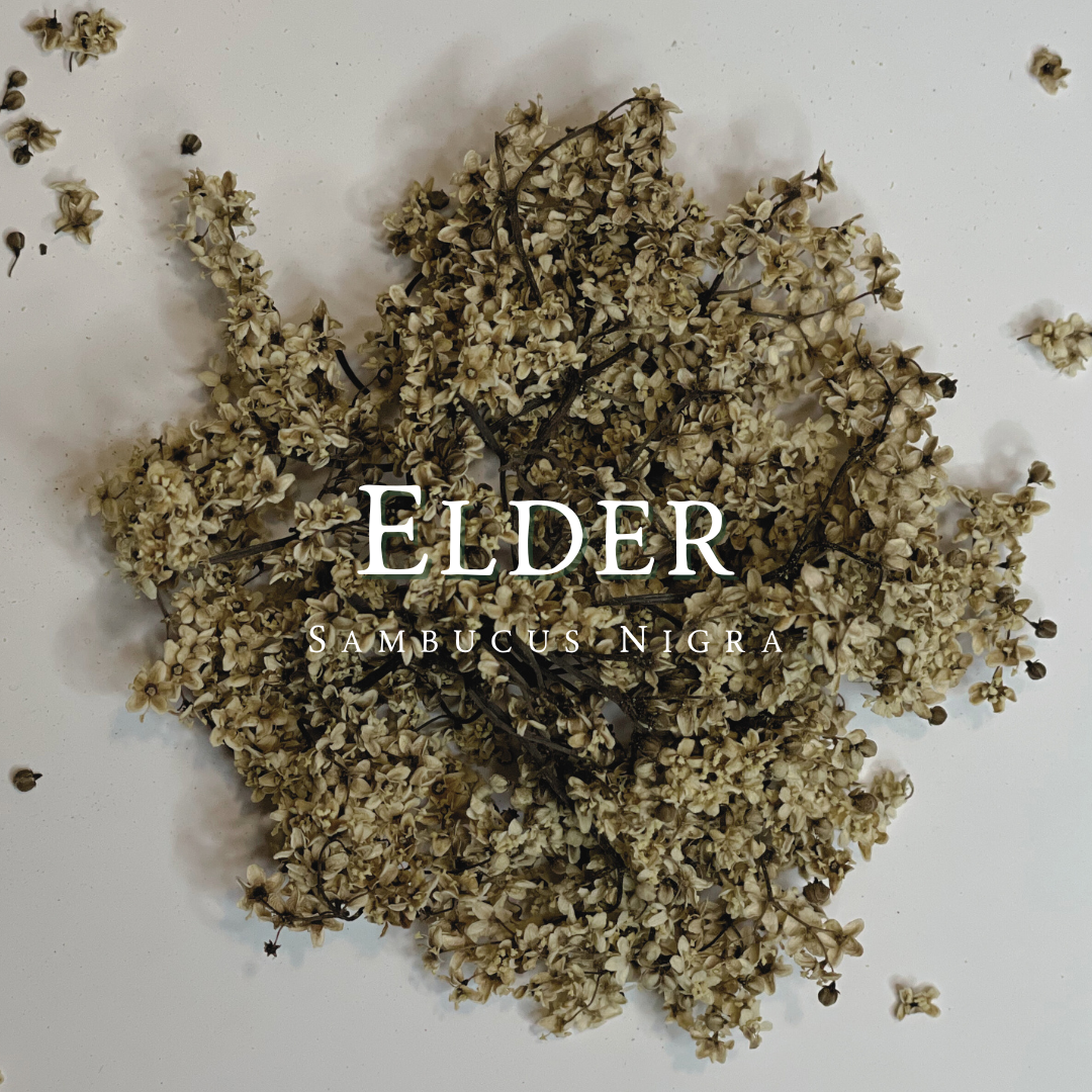 Elderflower