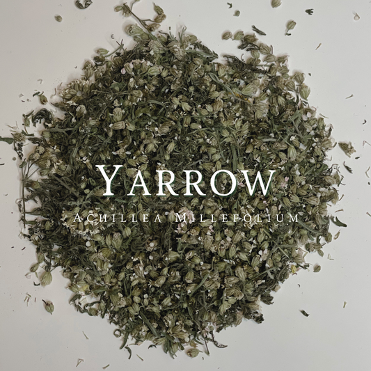 Yarrow