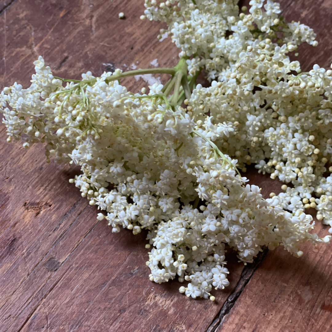 Fresh Elderflower