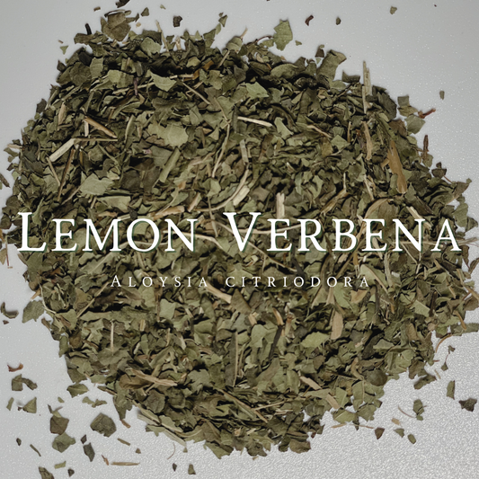 Lemon Verbena