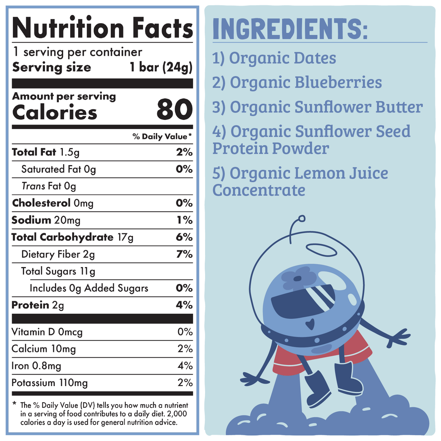 Skout Organic - Blueberry Blast Kids Bar