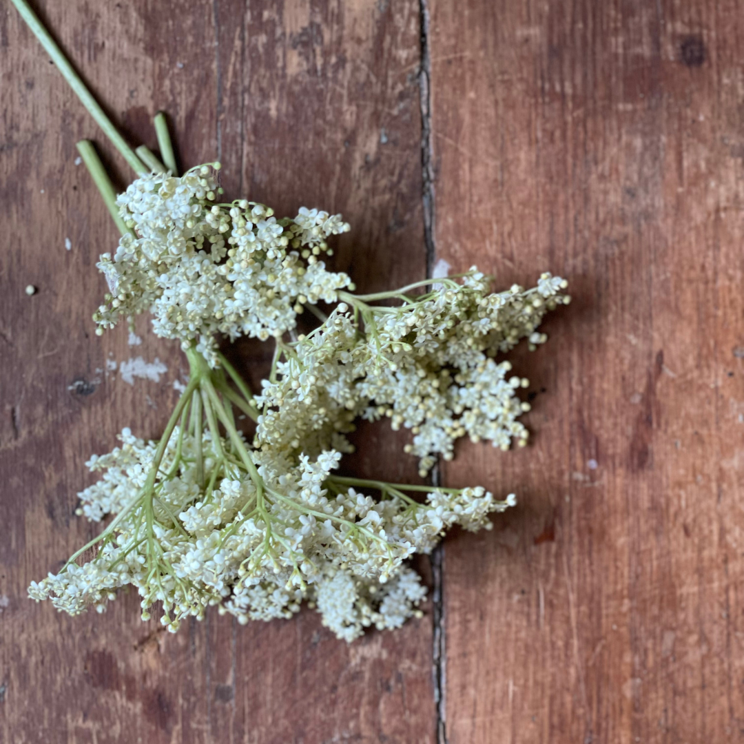 Fresh Elderflower