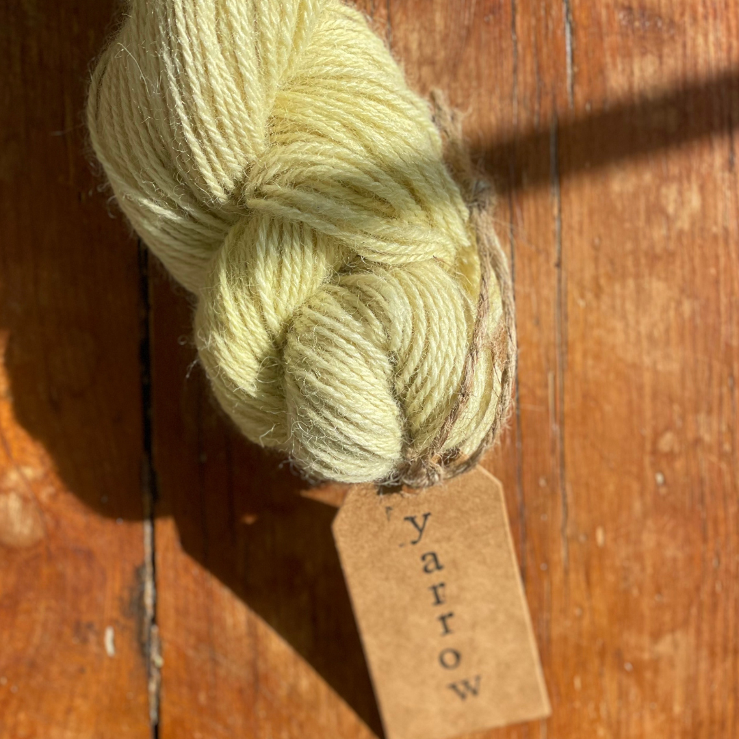Yarrow