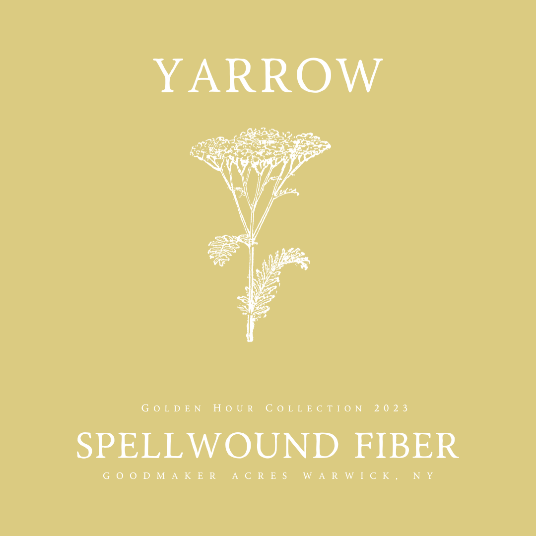 Yarrow