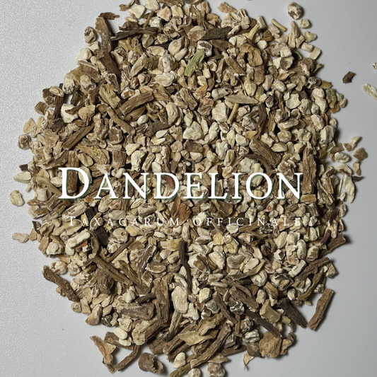 Dandelion Root