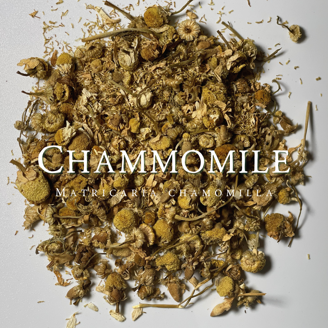 Chammomile