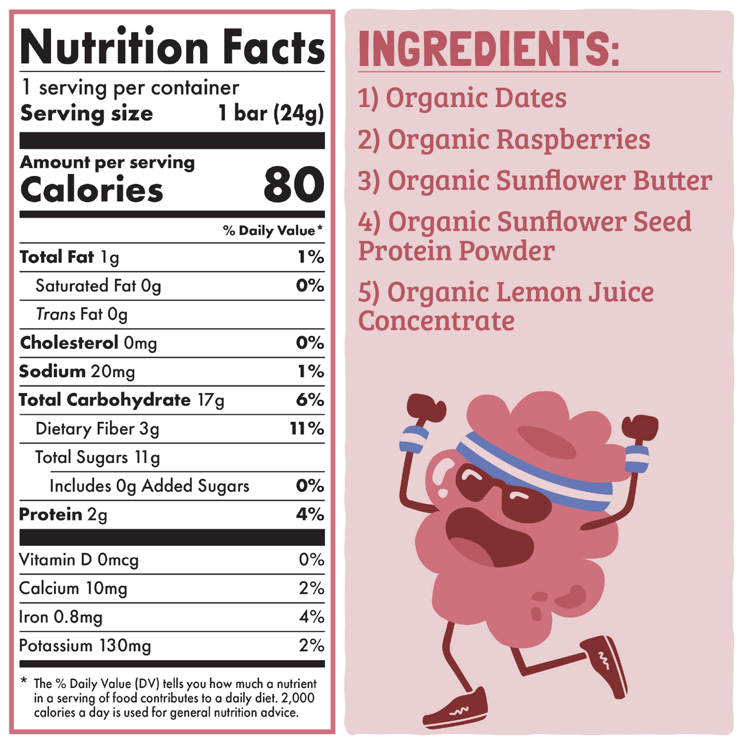Skout Organic - Raspberry Rush Kids Bar