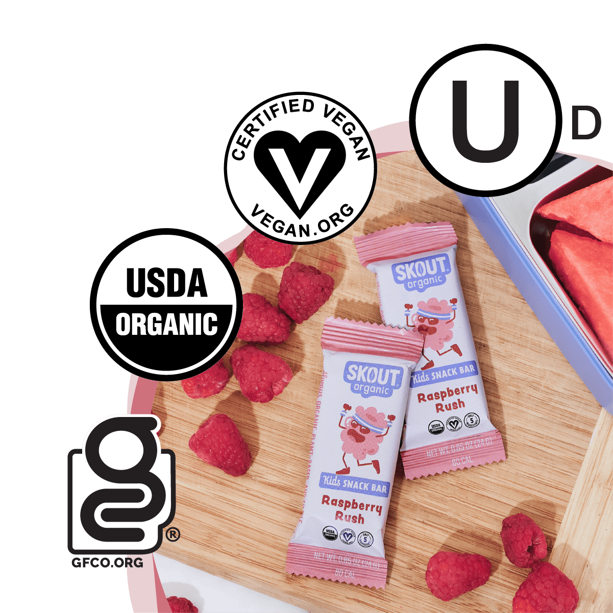 Skout Organic - Raspberry Rush Kids Bar