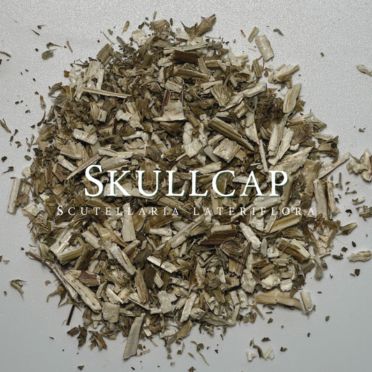 Skullcap