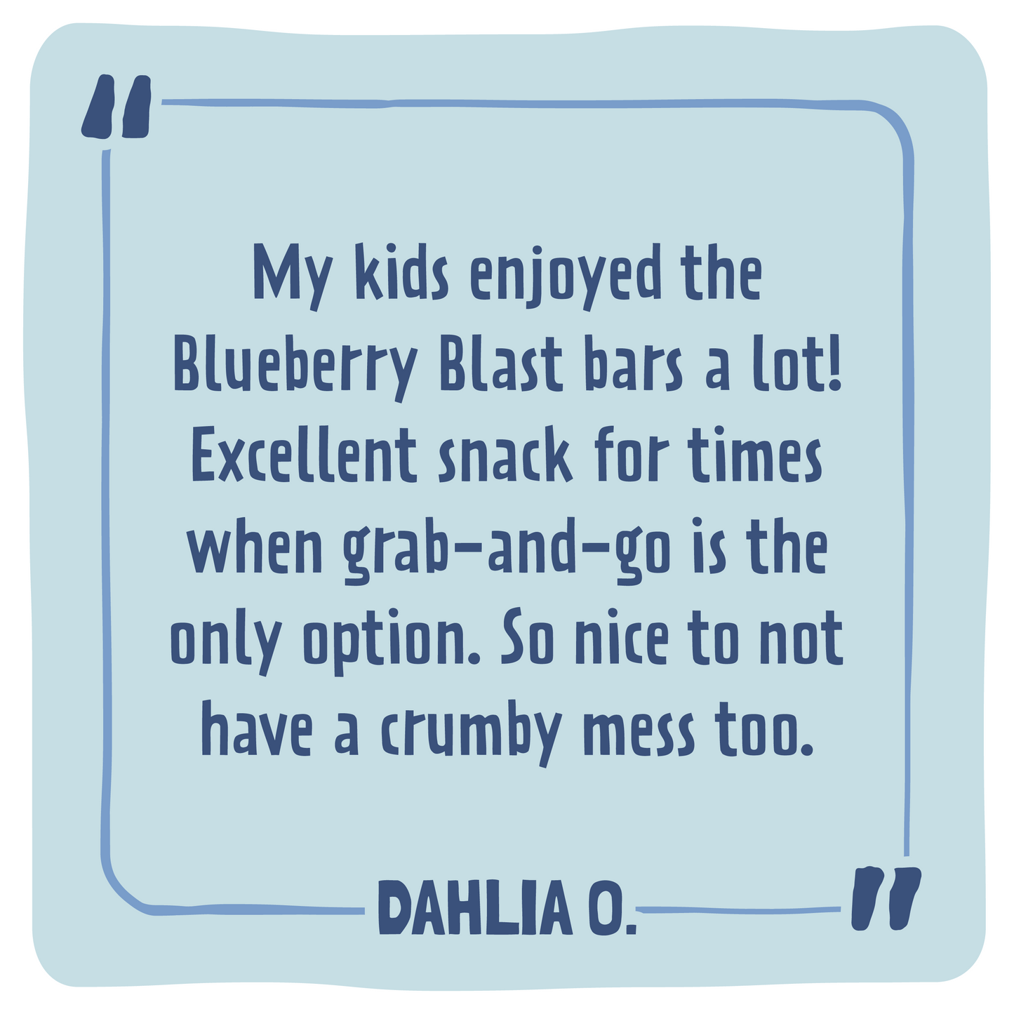 Skout Organic - Blueberry Blast Kids Bar