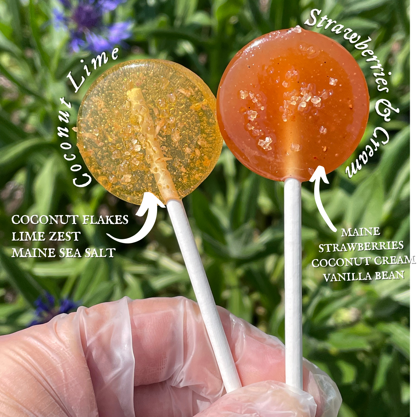 Virgo Moon - Plants & Planets Lollipops - Cosmic Candy Apothecary: Strawberries & Cream
