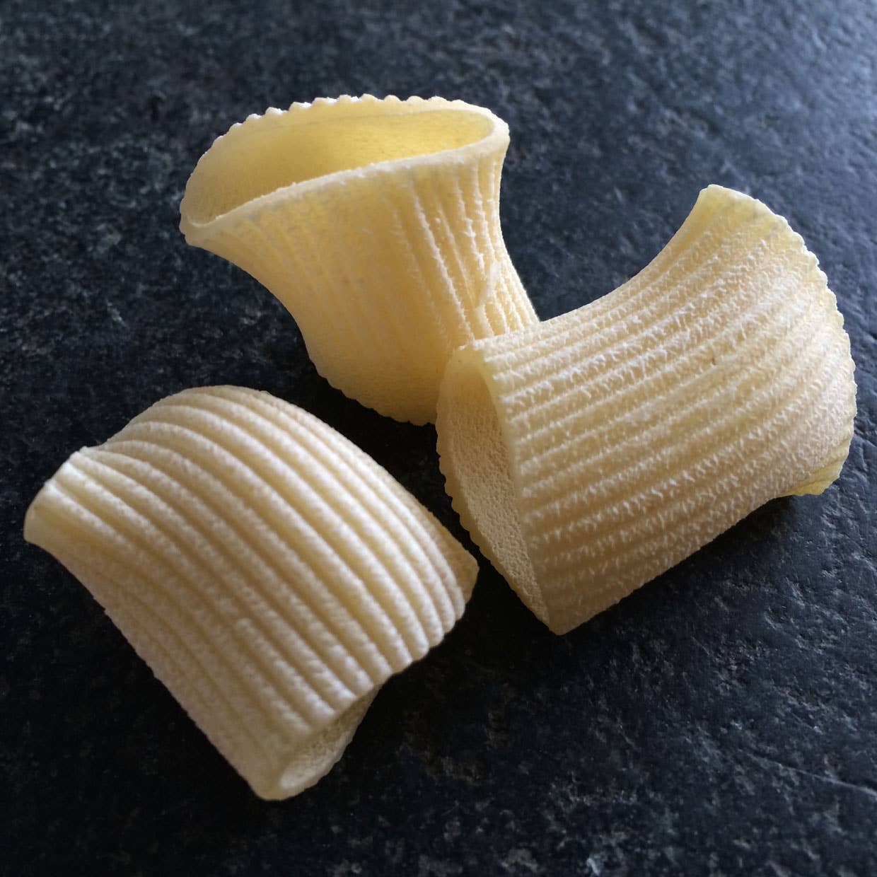Sfoglini - Organic Durum Semolina Rigatoni Pasta