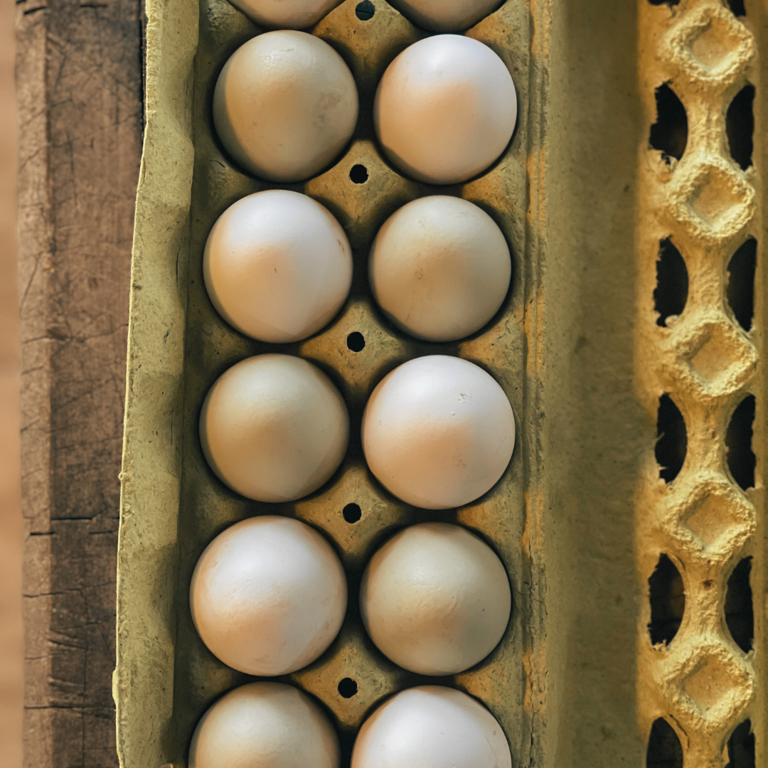 Farm Fresh Eggs