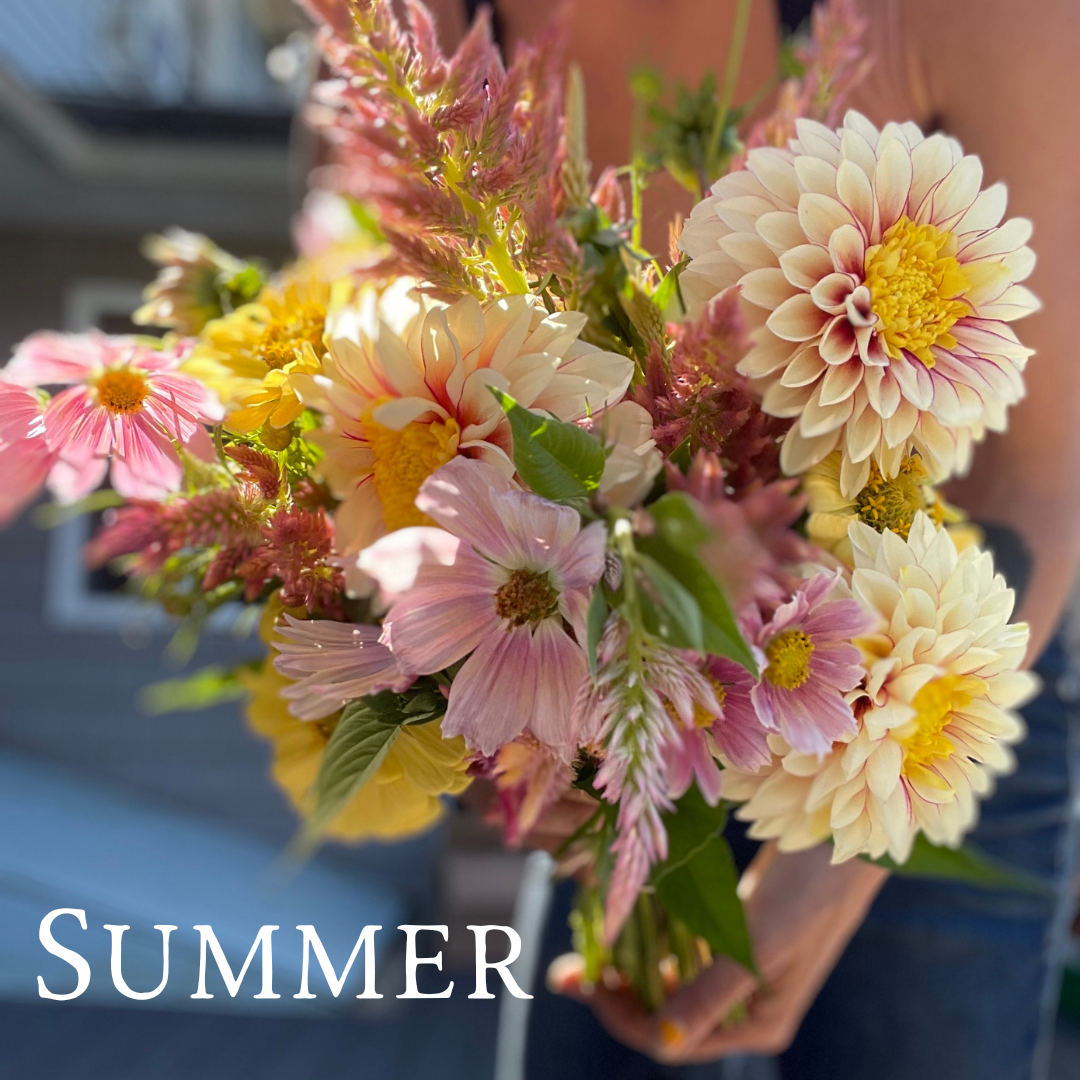Seasonal Flower Subscriptions