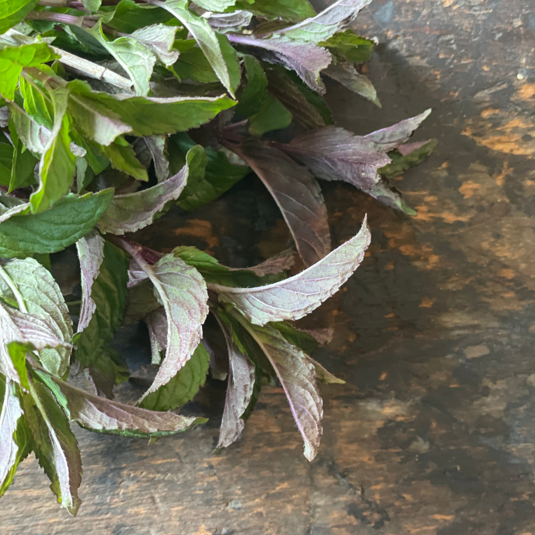 Fresh Mint