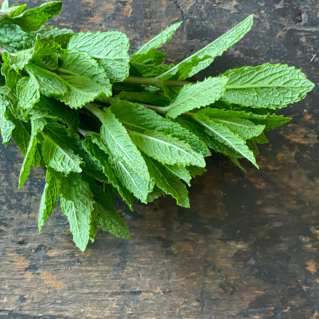 Fresh Mint