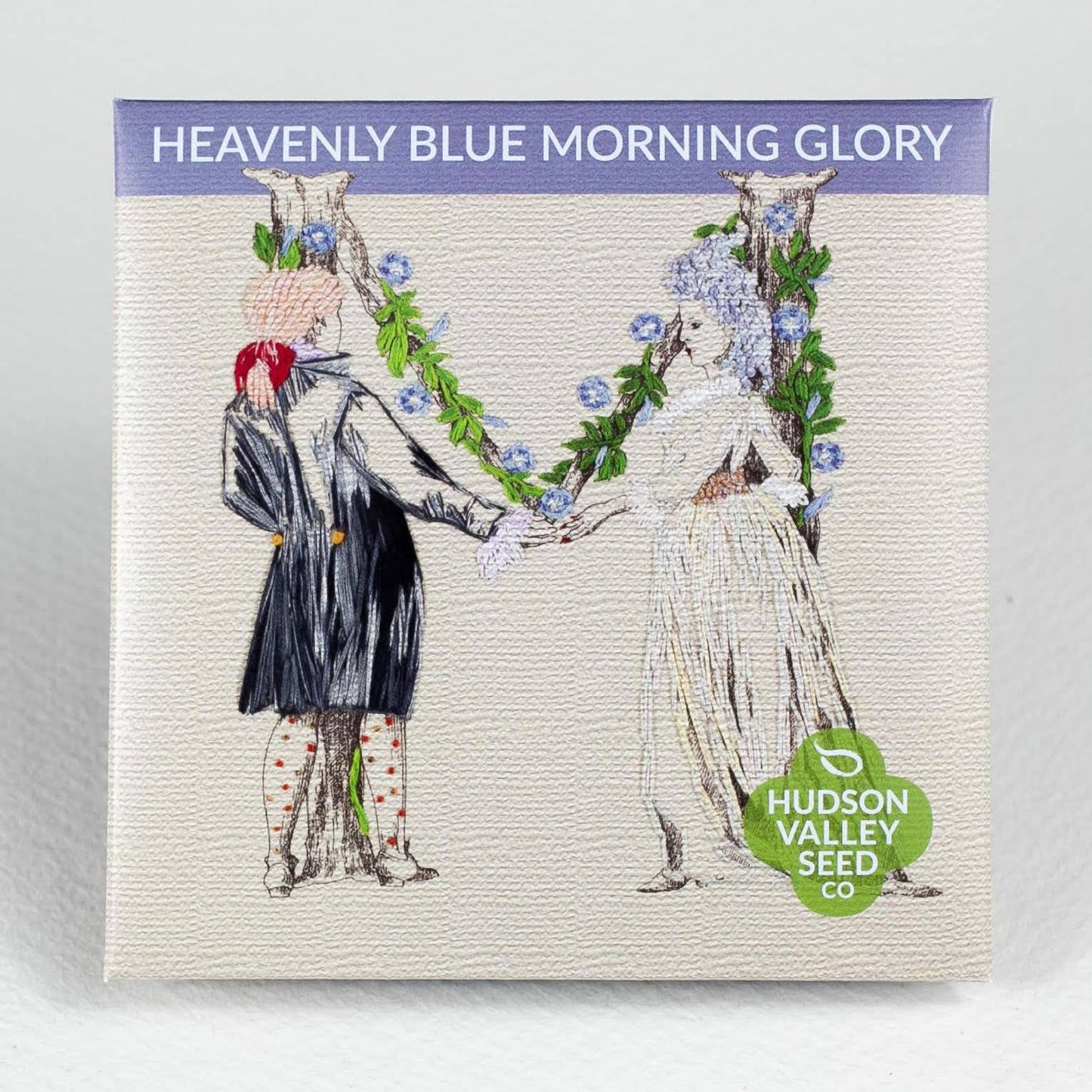 Heavenly Blue Morning Glory Flower