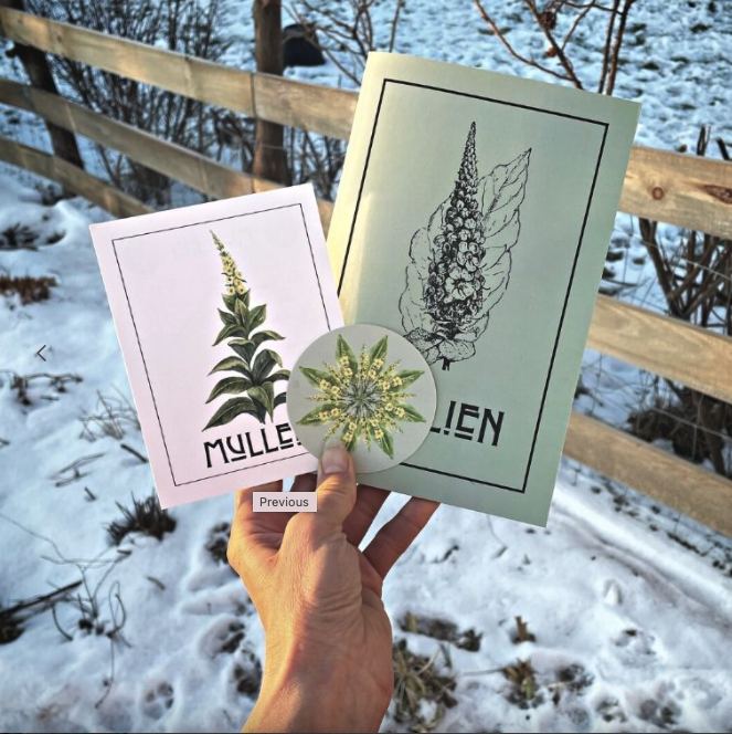 Herbal Revolution Farm + Apothecary - Mullein Zine by Kathi Langelier