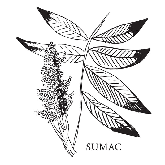 Introducing More Good Sumac Syrup