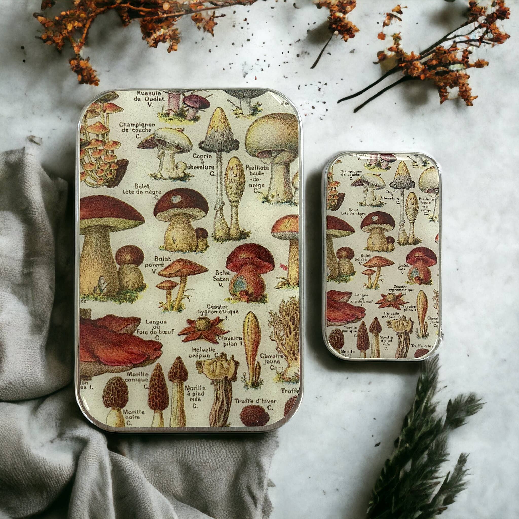 Mushroom Storage Tin: Large