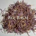 Bee Balm