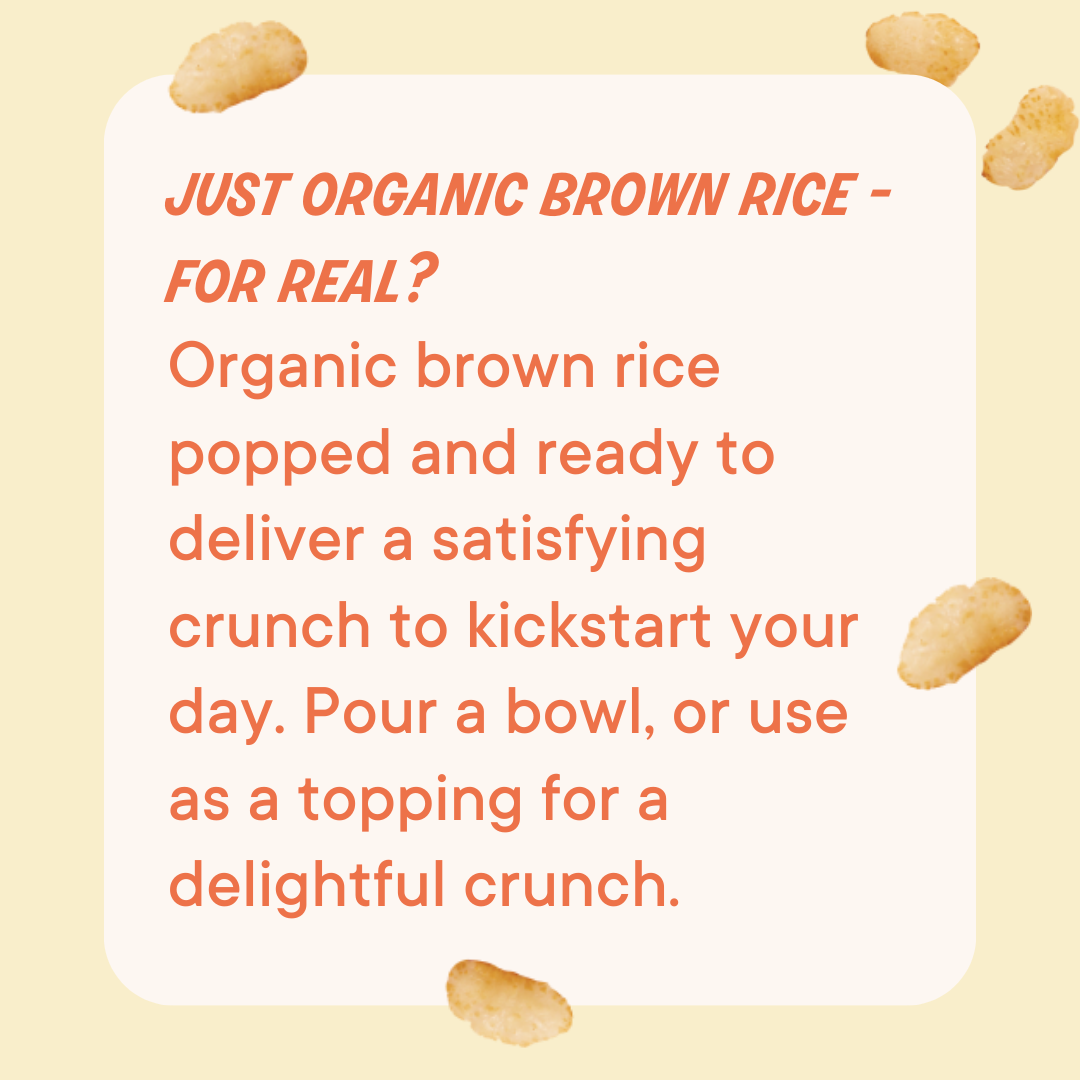 Organic Rice Crisps