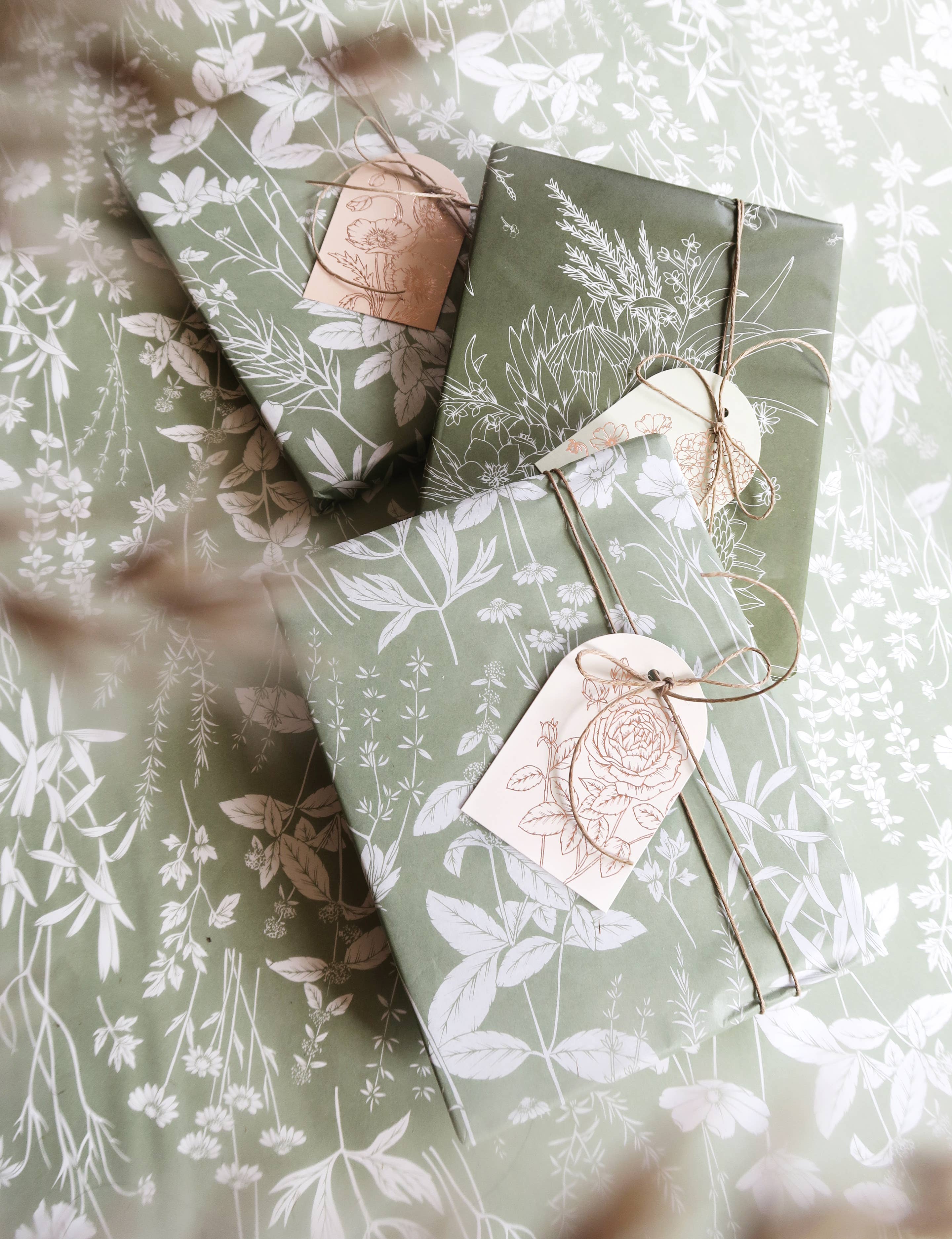 Tissue Paper | Herbs in Sage Pack