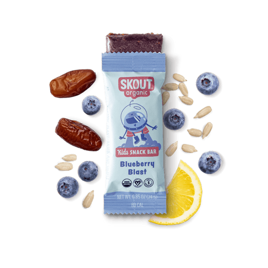 Skout Organic - Blueberry Blast Kids Bar