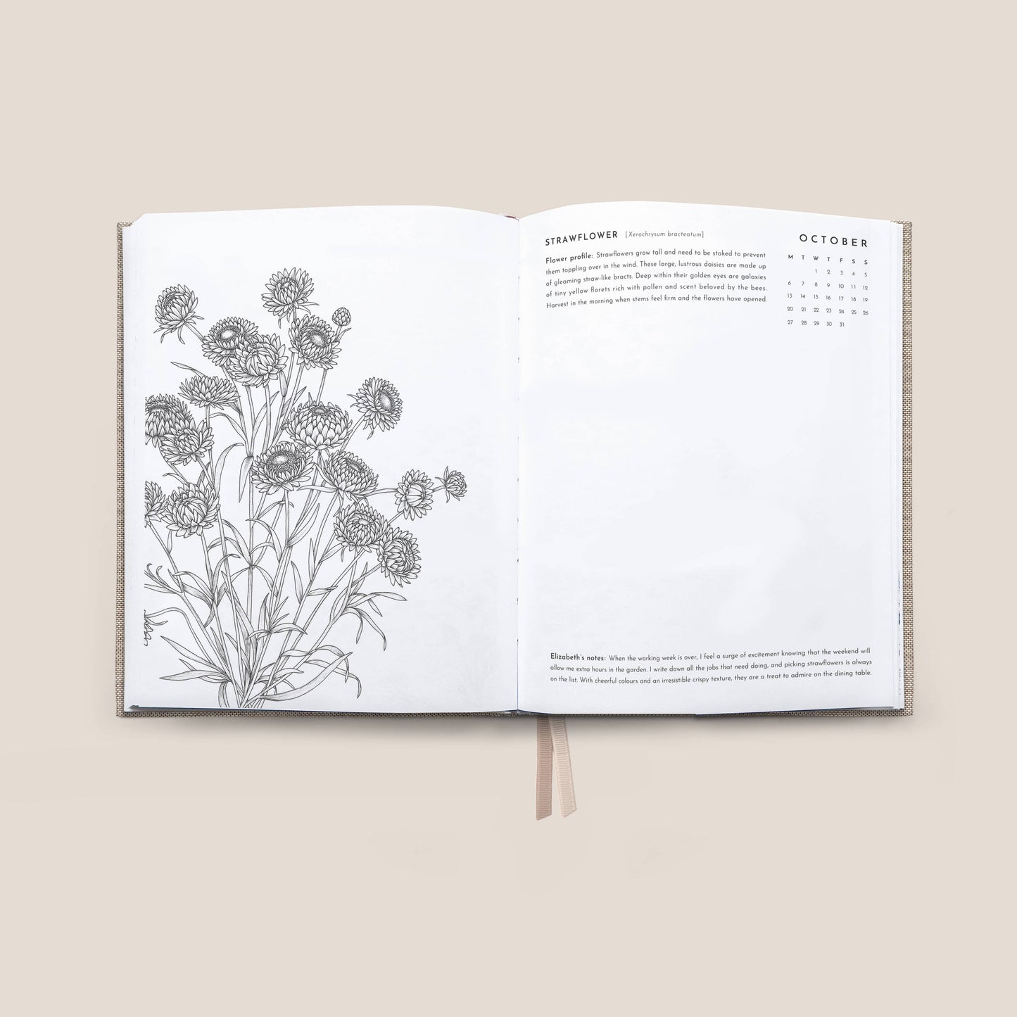 Typoflora - 2025 Always Flowers Planner | Oatmeal