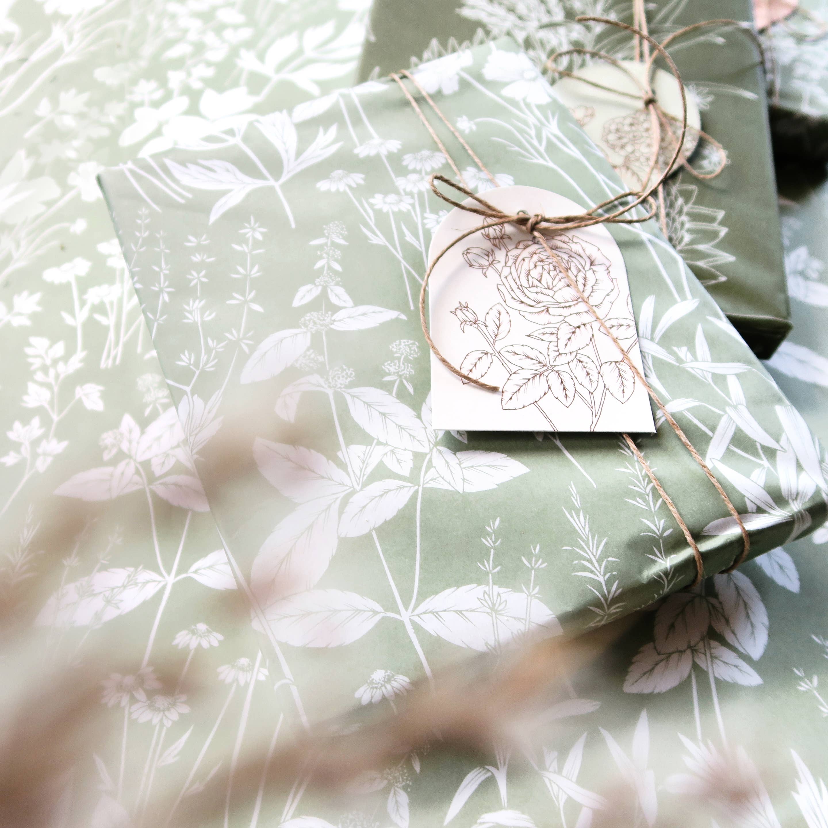 Tissue Paper | Herbs in Sage Pack