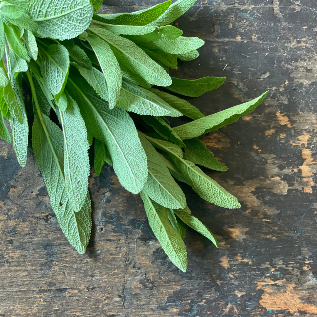 Fresh Sage