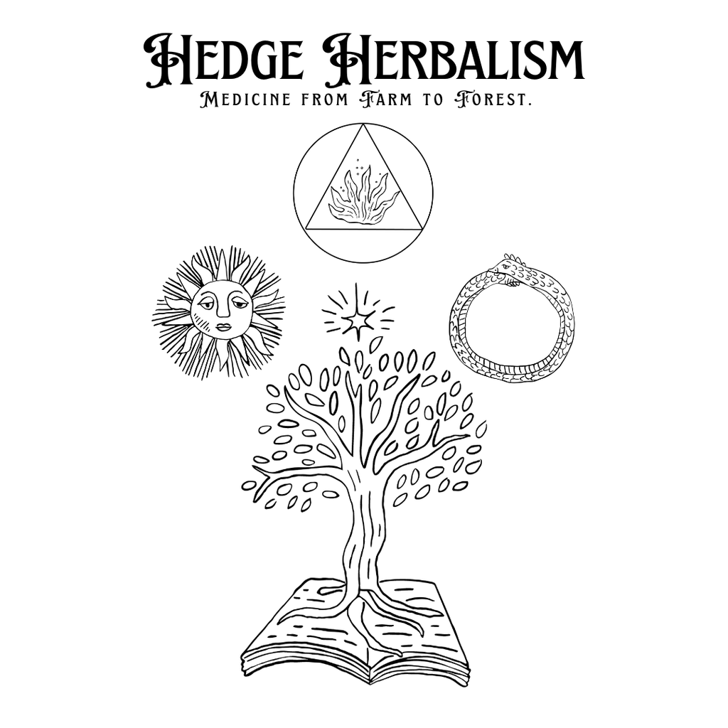Hedge Herbalism Course Bundle