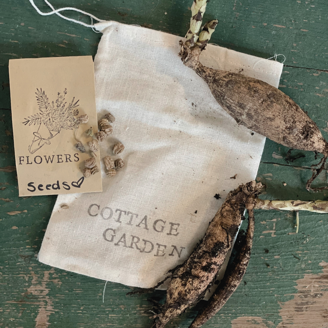 Summer Cottage Garden Kit