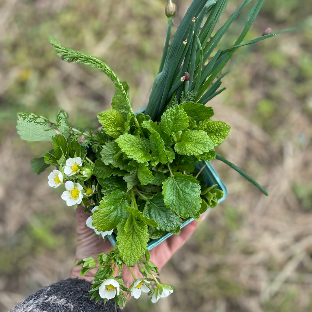 Edible Flowers