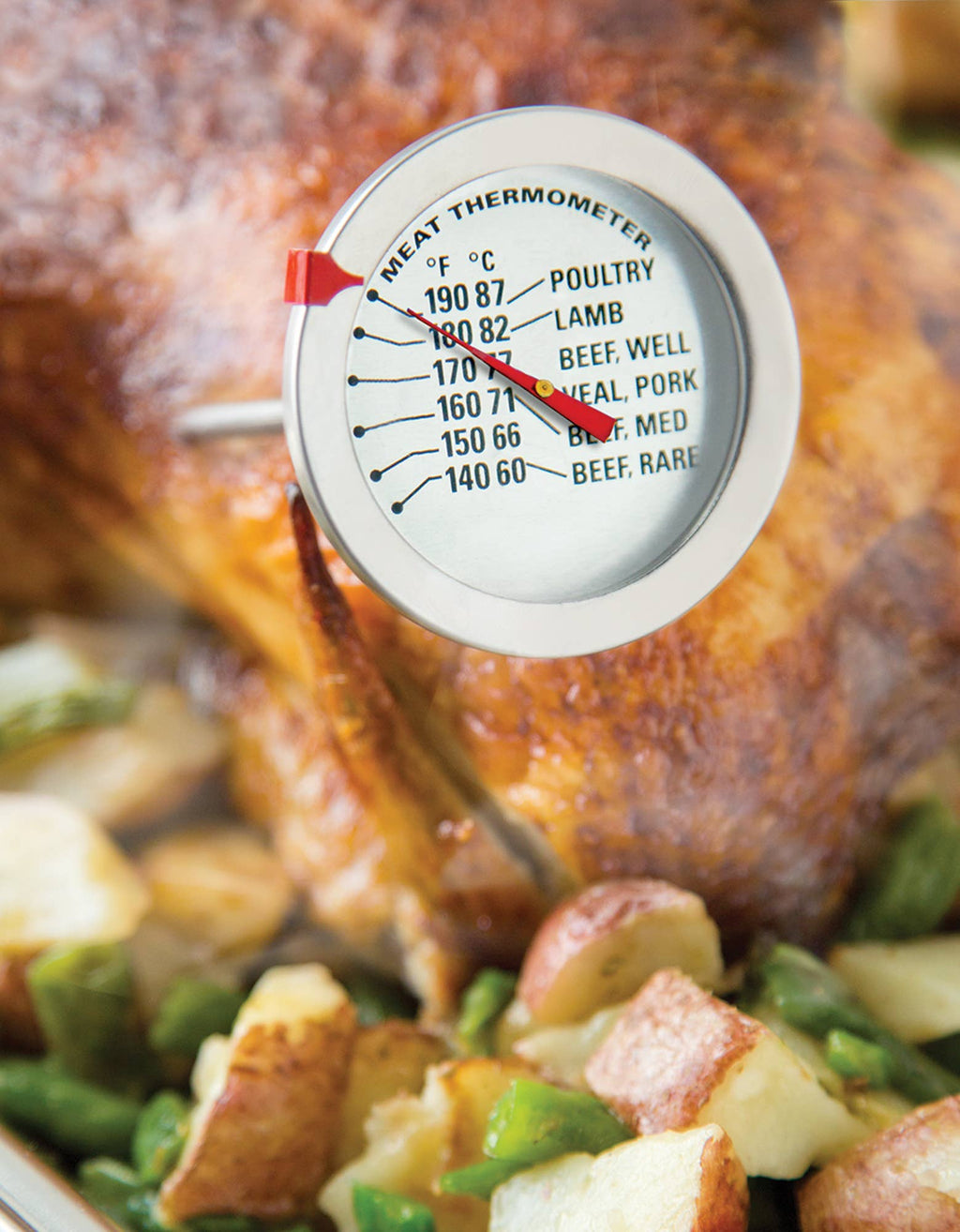 Fox Run Brands - Fox Run Meat Thermometer, 2.5" x 2.5" x 5.25"