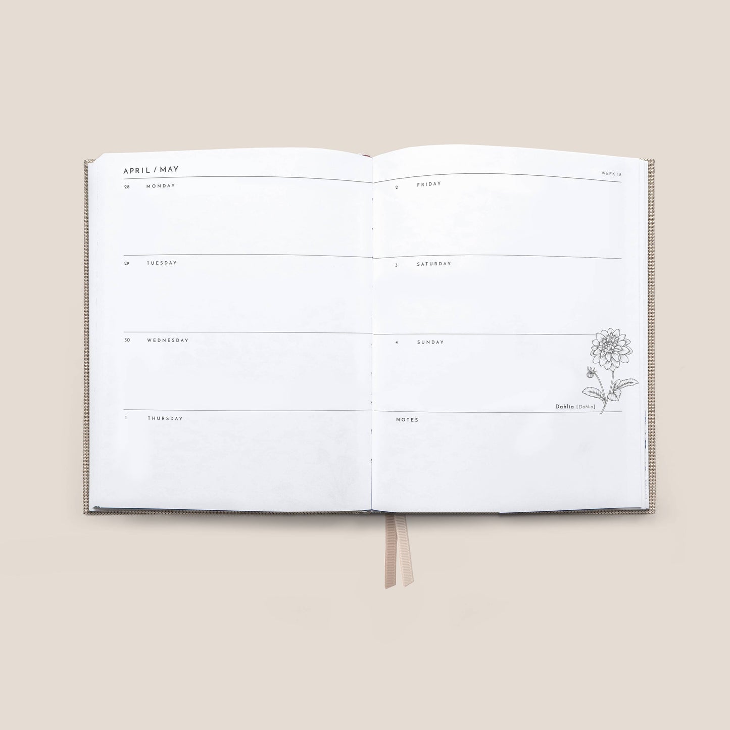 Typoflora - 2025 Always Flowers Planner | Oatmeal