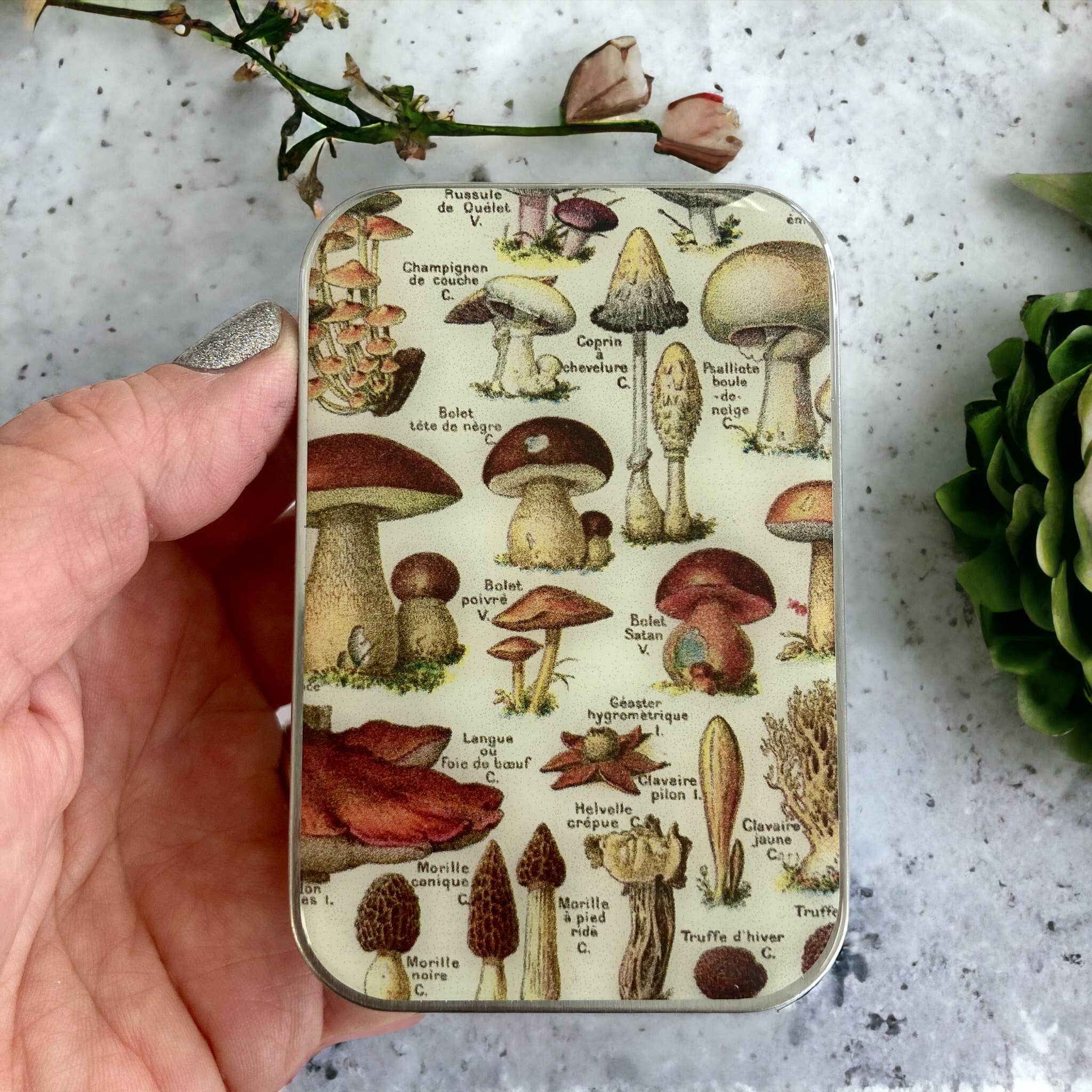Mushroom Storage Tin: Large