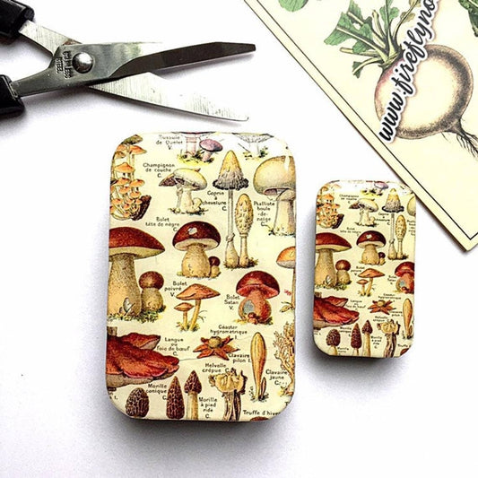 Small Mushroom Storage Tin