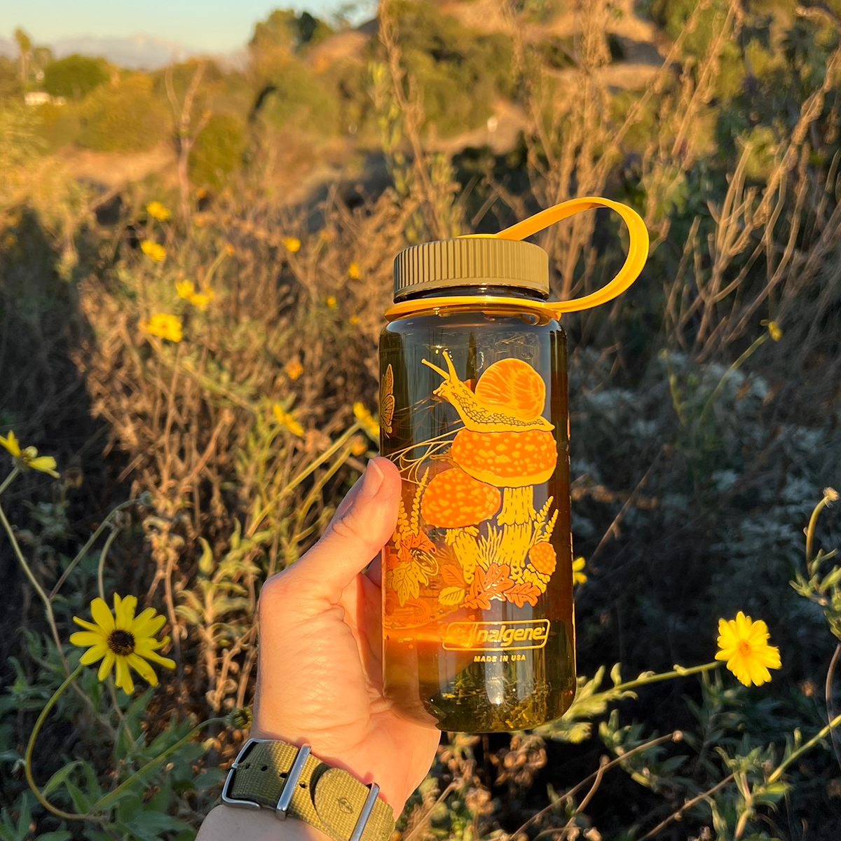 Mustard Beetle - 16oz Toad & Mushrooms, Wide Mouth Nalgene Water Bottle