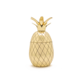 Pineapple Tumbler