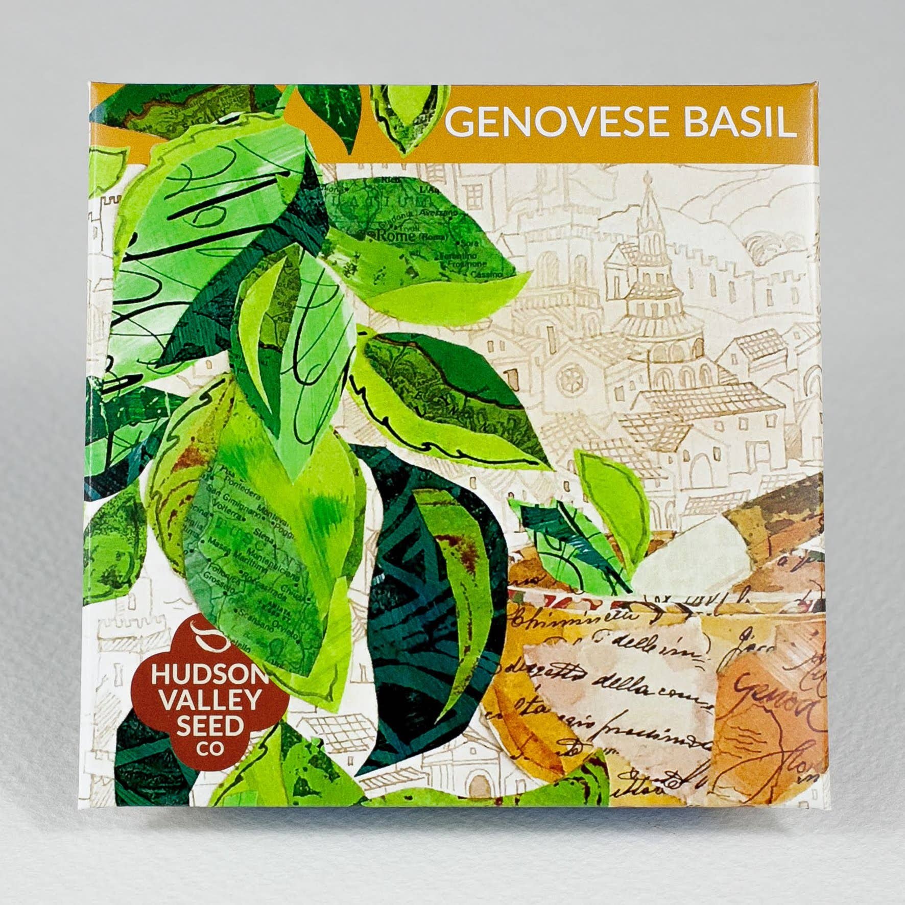 Genovese Basil