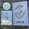 Herbal Revolution Farm + Apothecary - Yarrow Zine by Kathi Langelier