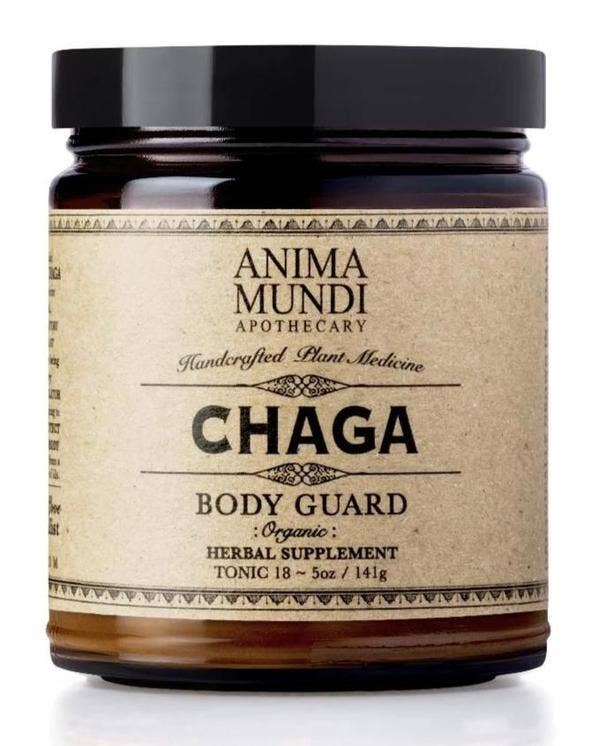 CHAGA : Body Guard