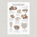 Cultivated Mushrooms Poster