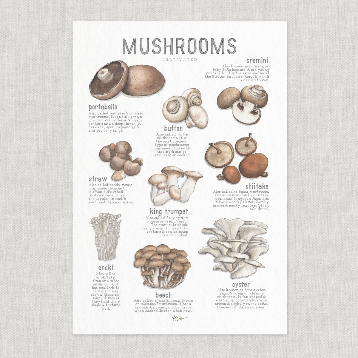 Cultivated Mushrooms Poster
