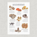 Wild Mushrooms Poster
