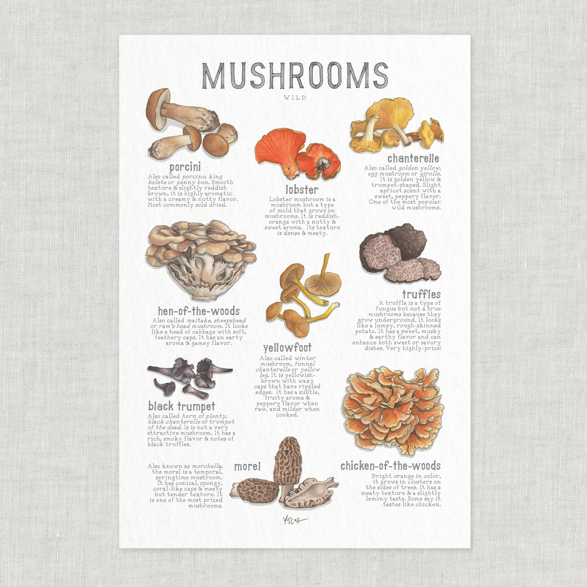 Wild Mushrooms Poster